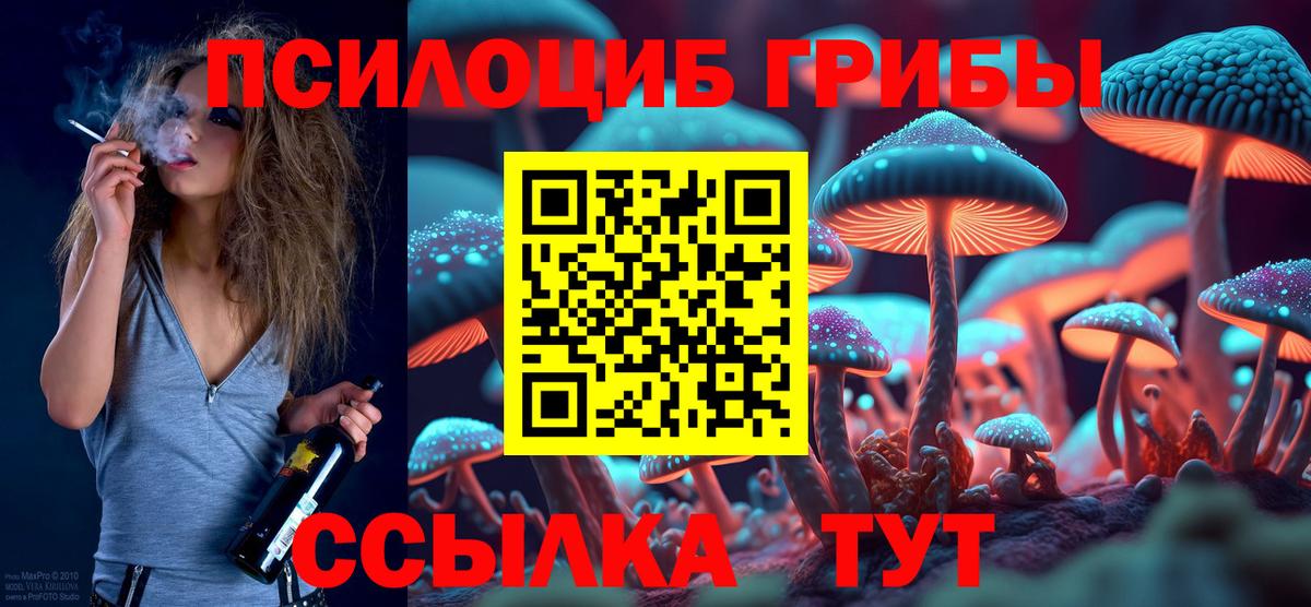 Минусинск  Псилоцибиновые грибы MAGIC MUSHROOMS  Вход с VPN 