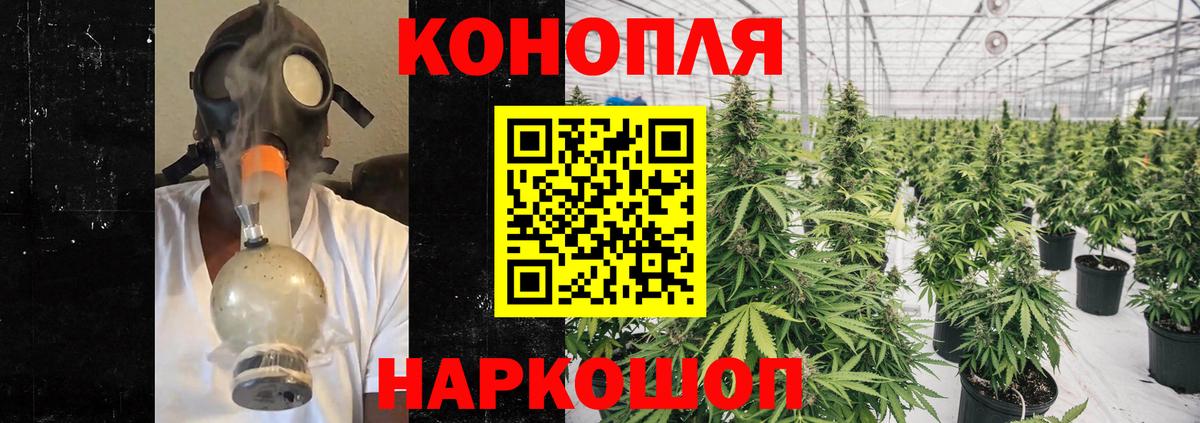 Шишки марихуана конопля Минусинск